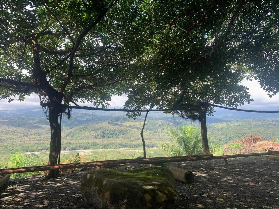 Disfruta Del Contacto Con La Naturaleza Διαμέρισμα Πουνταρένας Εξωτερικό φωτογραφία