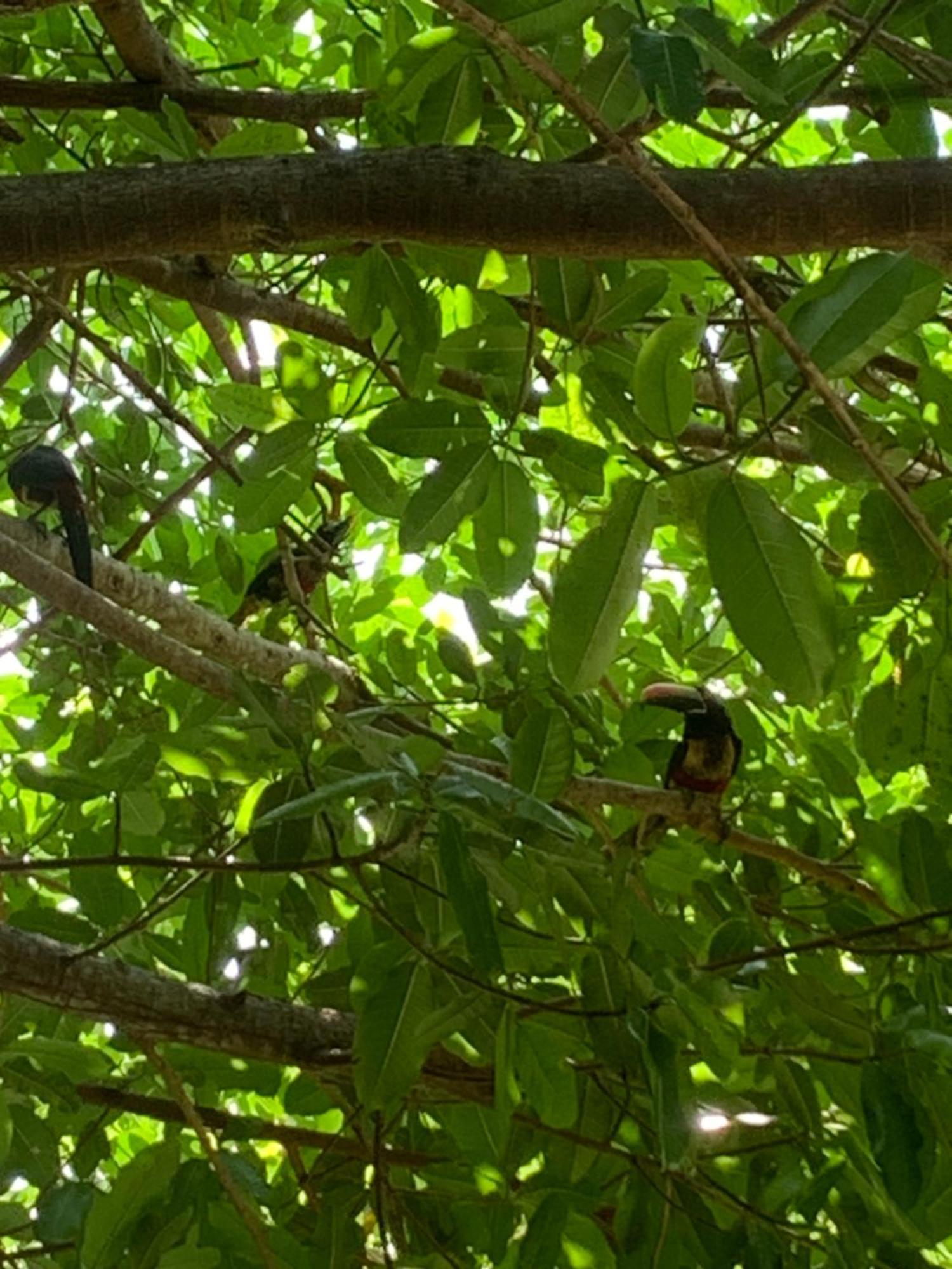 Disfruta Del Contacto Con La Naturaleza Διαμέρισμα Πουνταρένας Εξωτερικό φωτογραφία